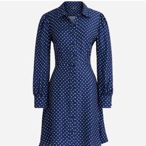 J. Crew Navy Polka Dot Dress